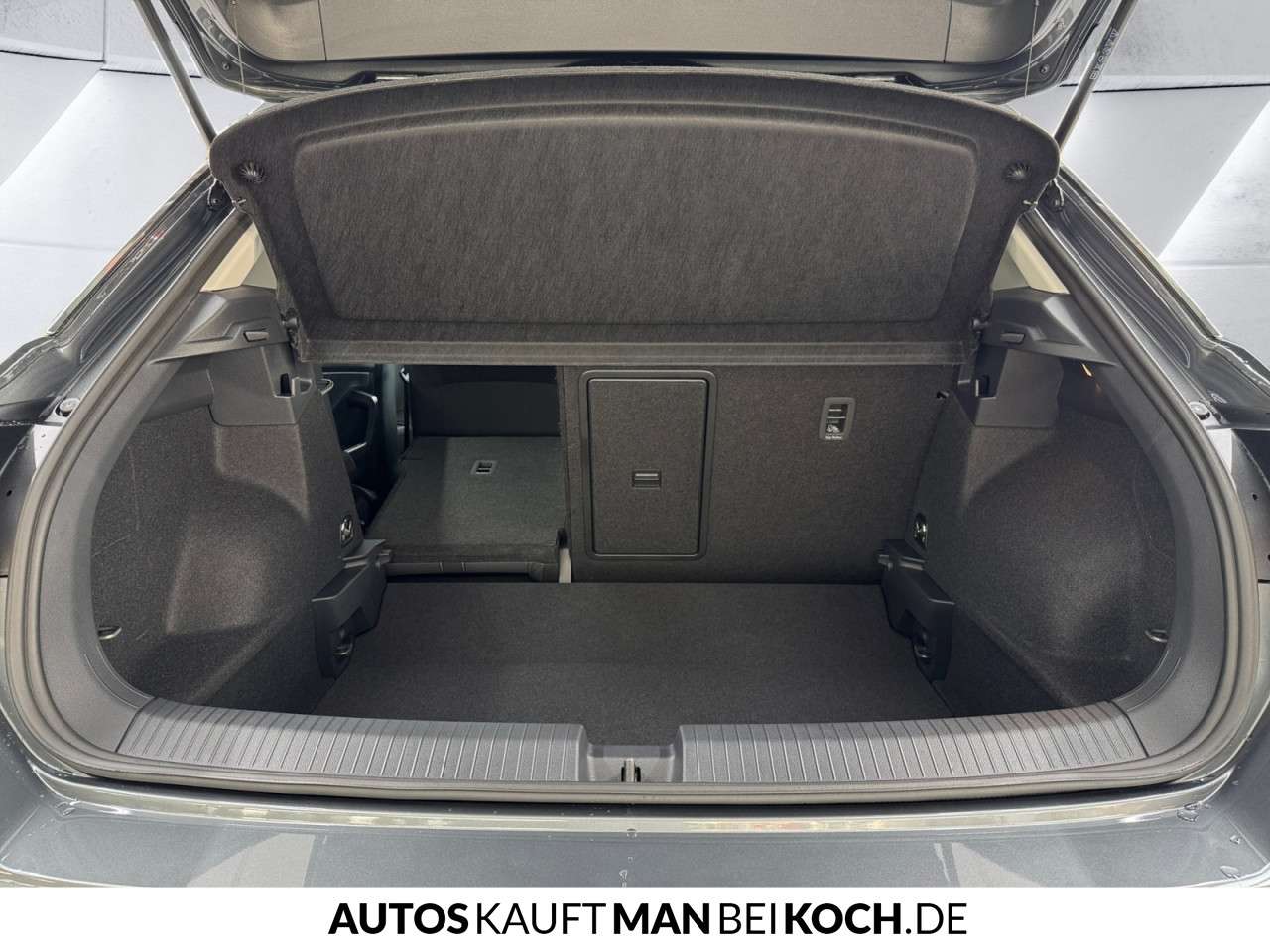 Fahrzeugbild eines Volkswagen T-Roc
