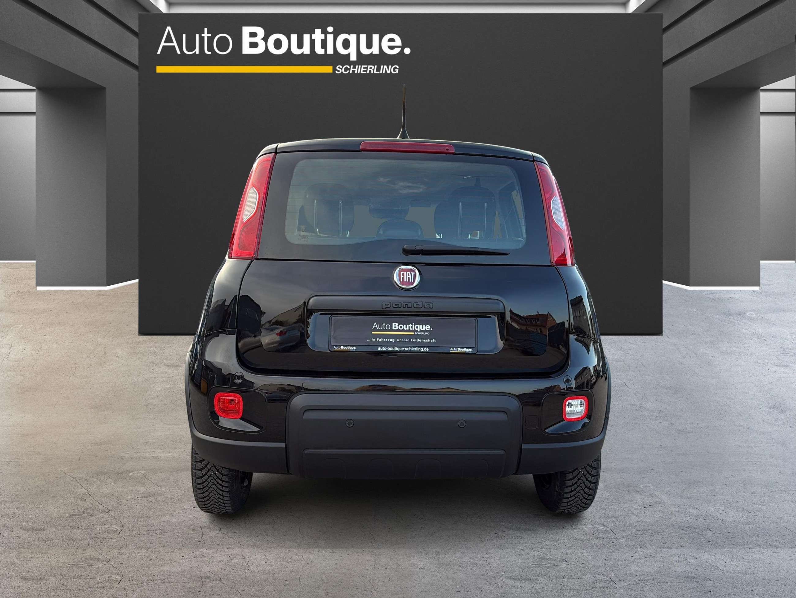 Fahrzeugbild eines Fiat Panda