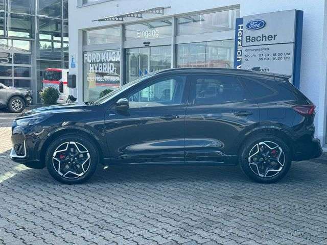 Fahrzeugbild eines Ford Kuga