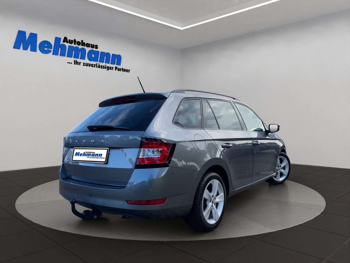 Fahrzeugbild eines Skoda Fabia