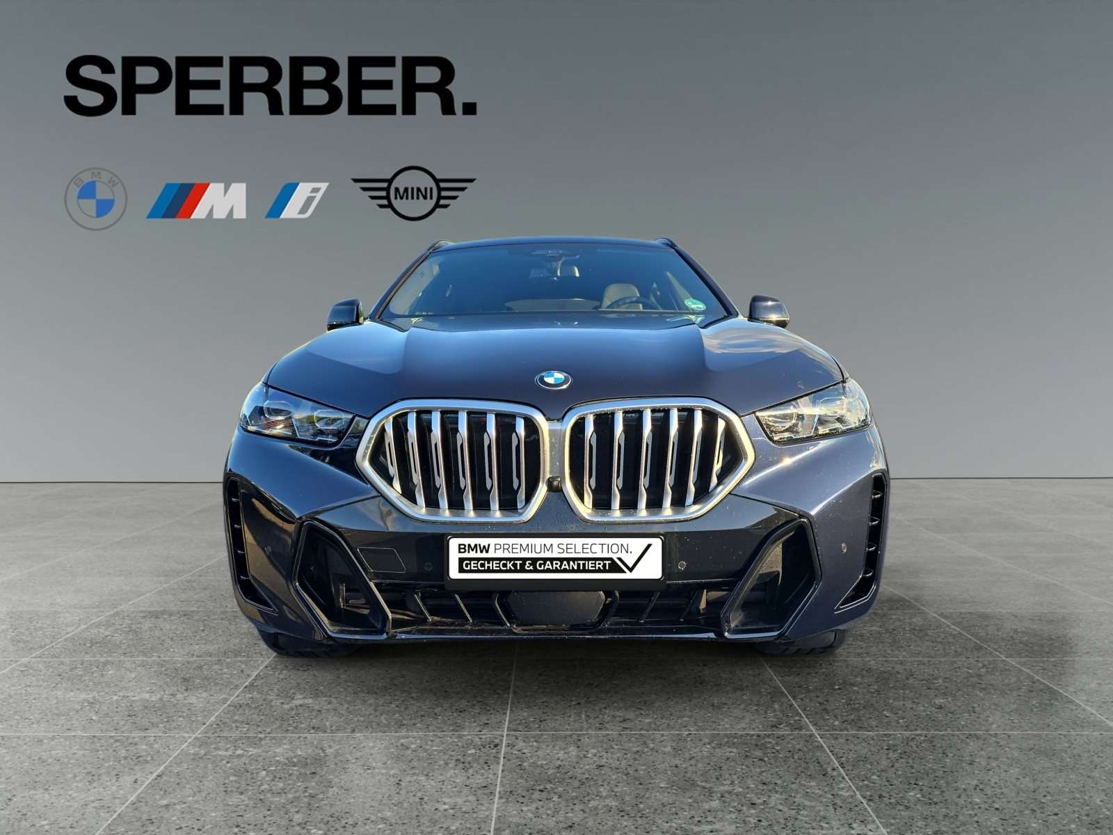 Fahrzeugbild eines BMW X6