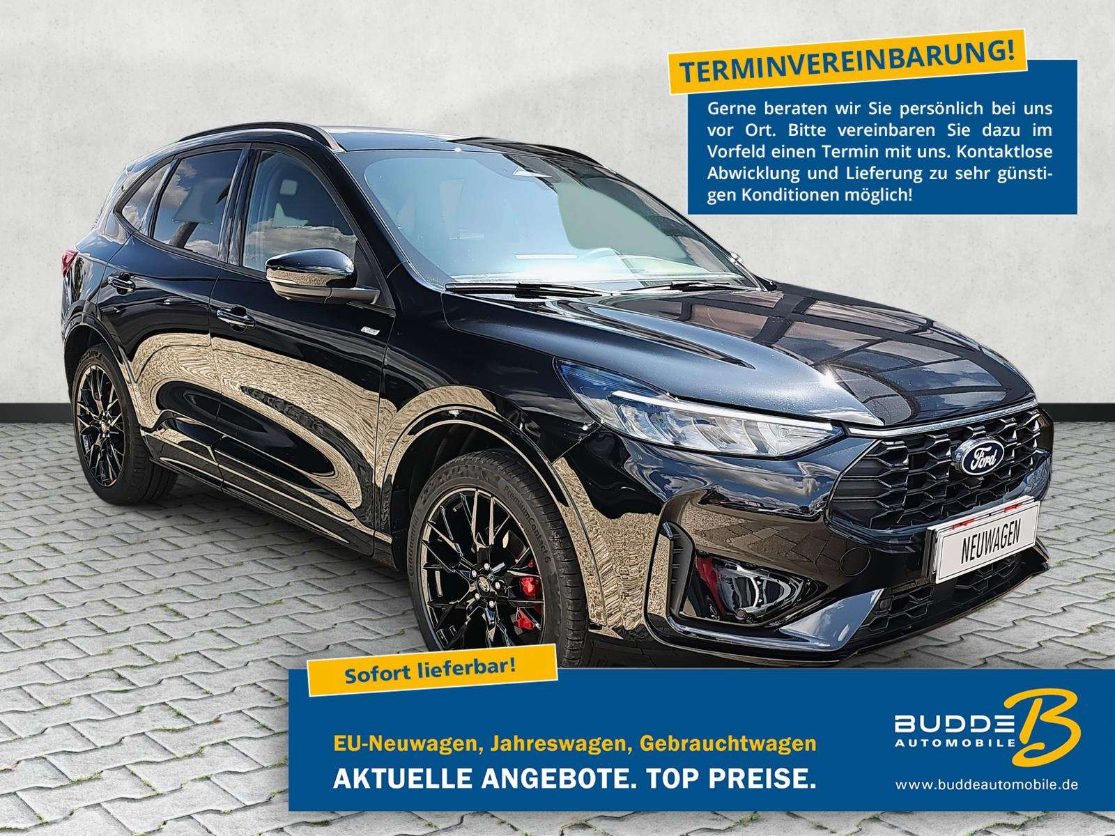 Fahrzeugbild eines Ford Kuga