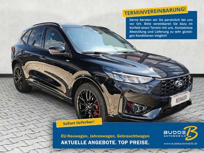 Bild Ford Kuga