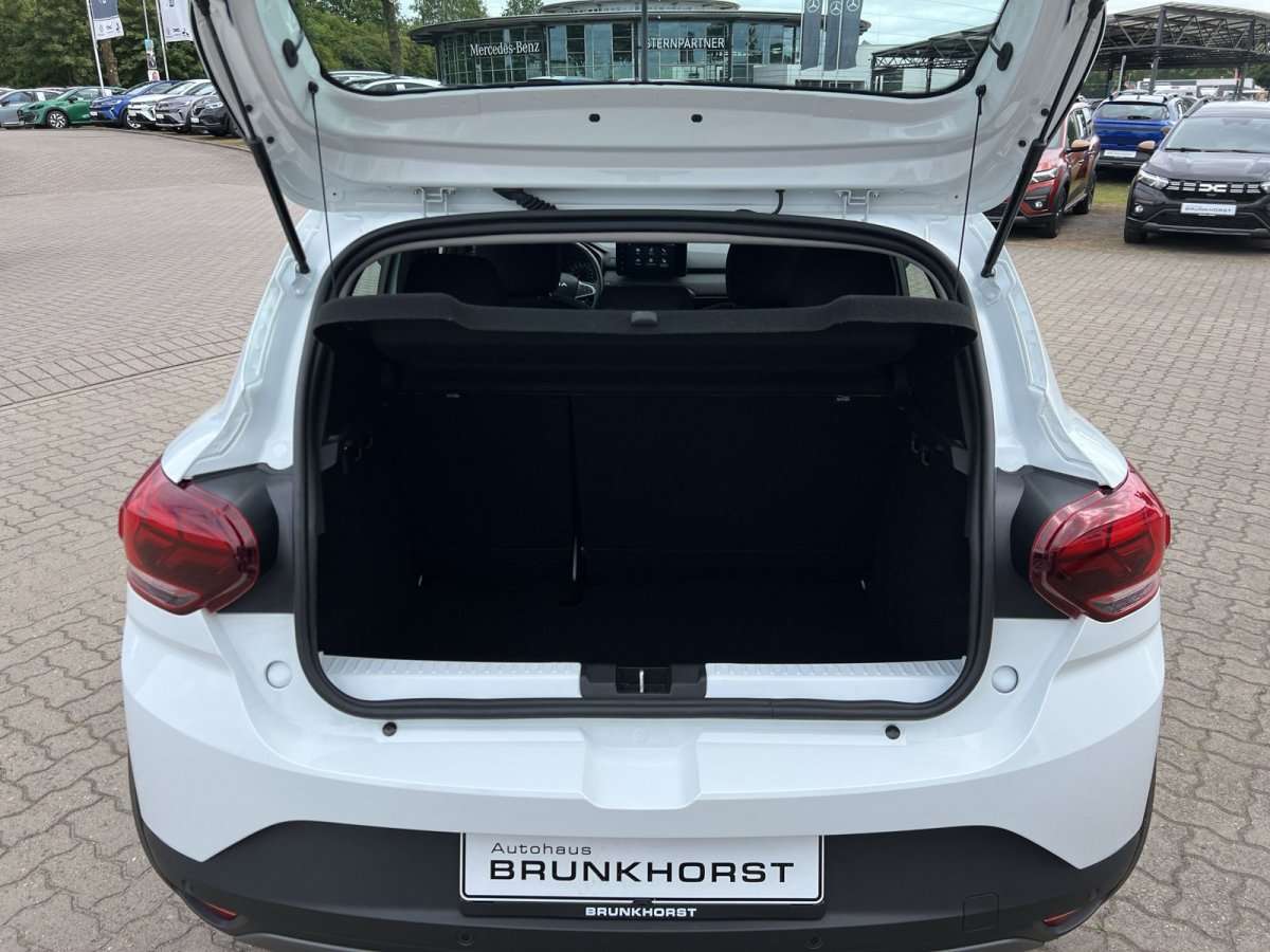 Fahrzeugbild eines Dacia Sandero