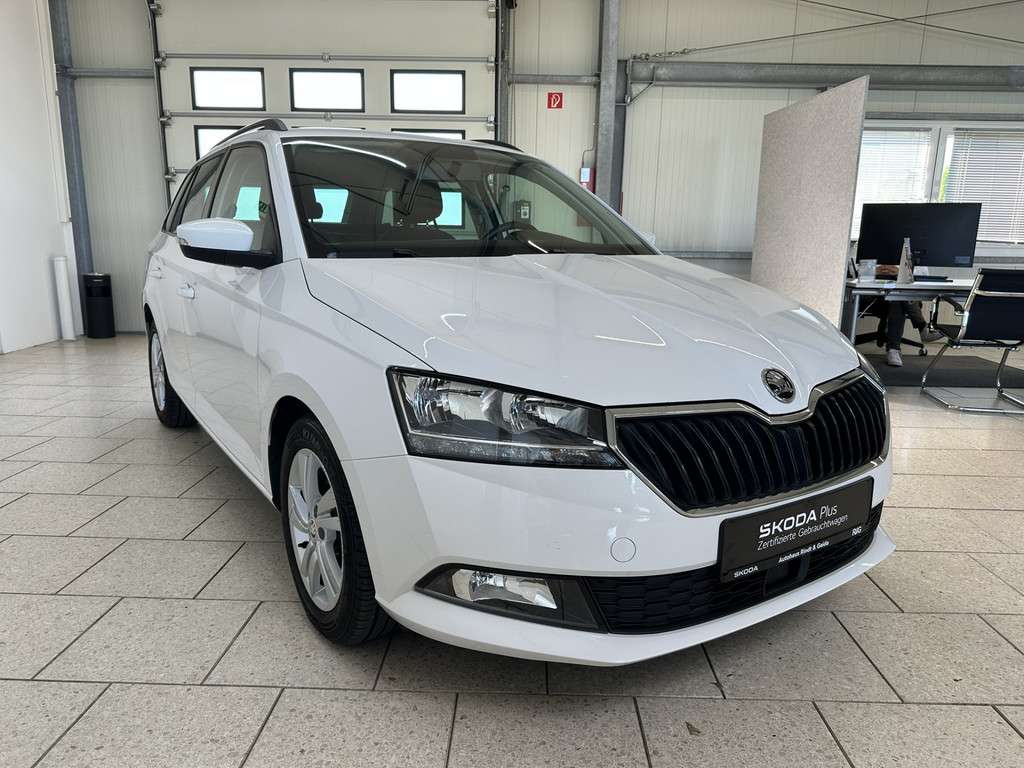 Fahrzeugbild eines Skoda Fabia