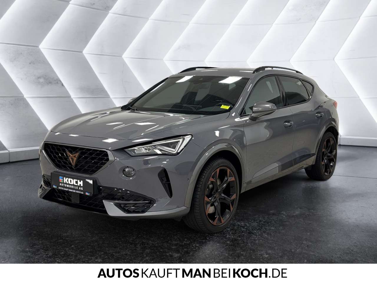 Fahrzeugbild eines CUPRA Formentor