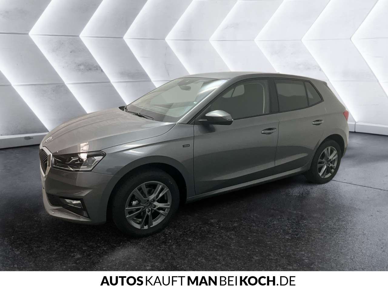 Fahrzeugbild eines Skoda Fabia