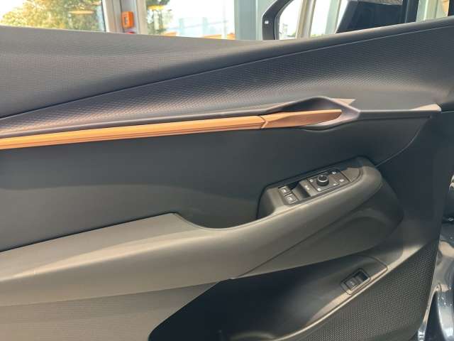 Fahrzeugbild eines CUPRA Tavascan