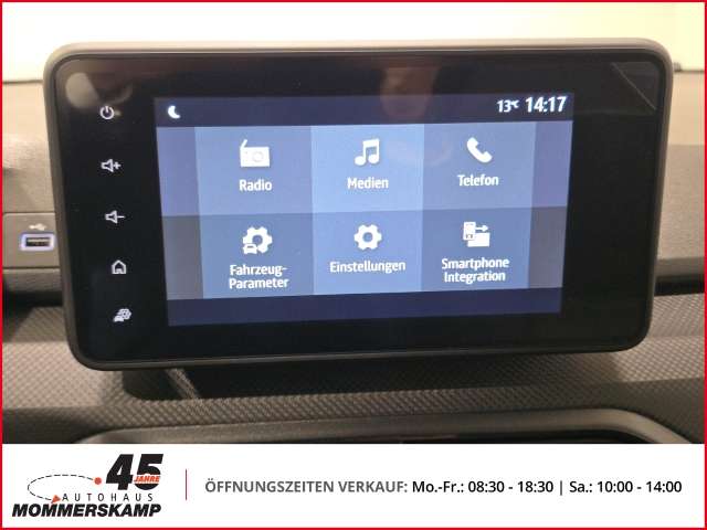 Fahrzeugbild eines Dacia Sandero