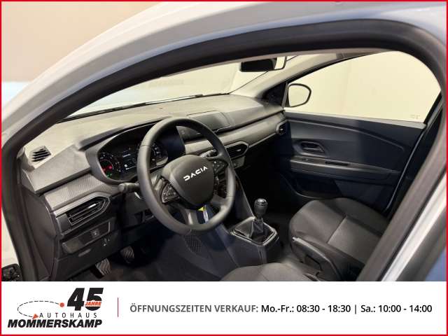 Fahrzeugbild eines Dacia Sandero