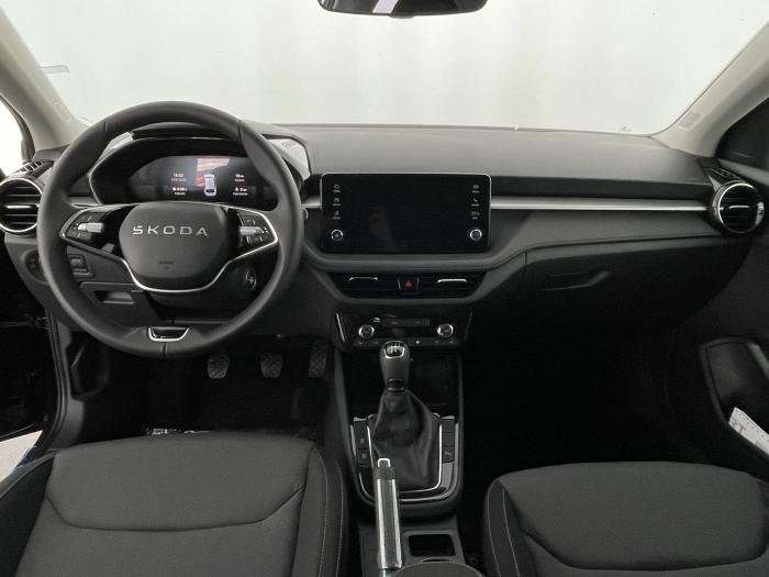 Fahrzeugbild eines Skoda Fabia