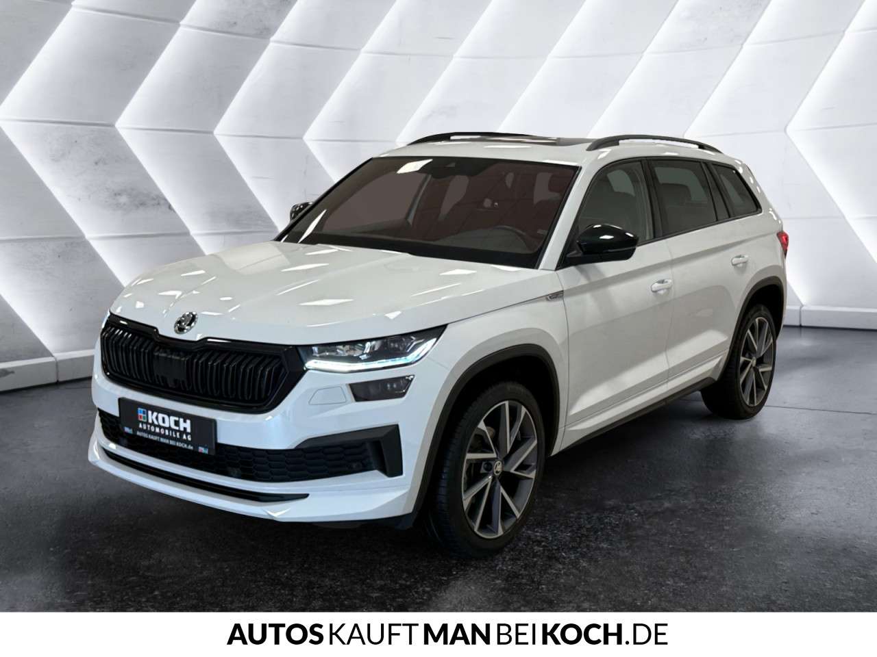 Fahrzeugbild eines Skoda Kodiaq