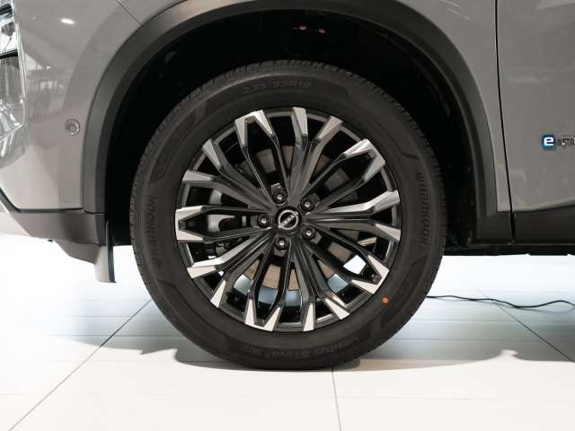 Fahrzeugbild eines Nissan X-TRAIL