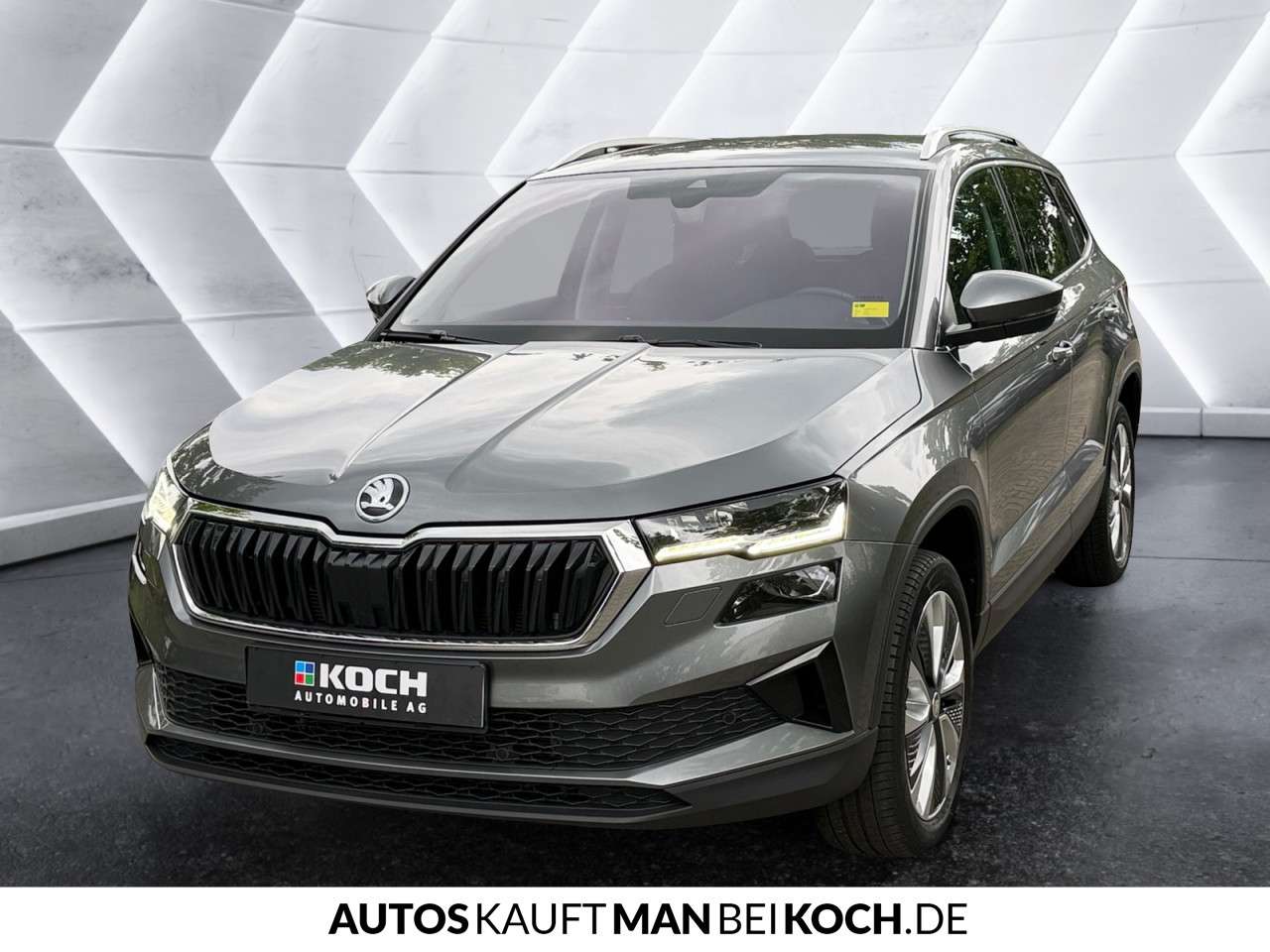 Fahrzeugbild eines Skoda Karoq