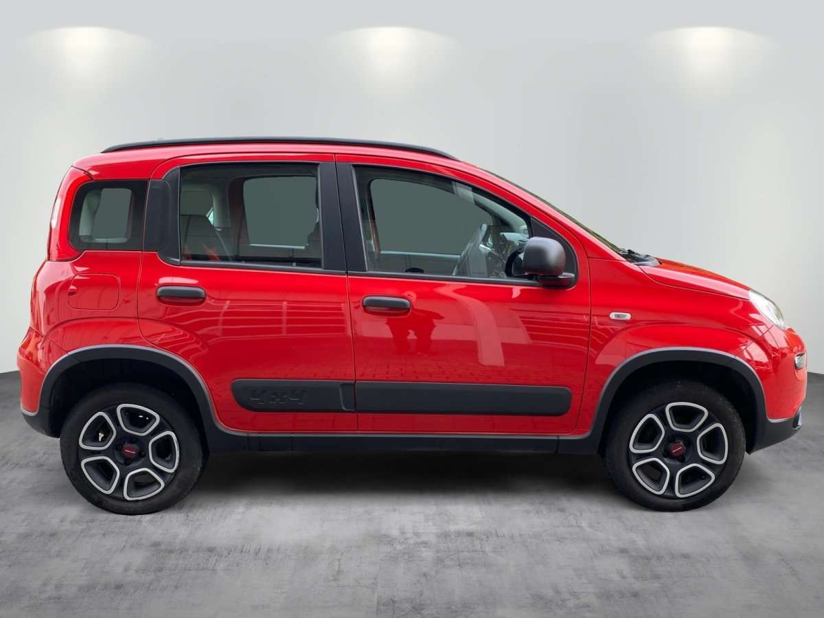 Fahrzeugbild eines Fiat Panda