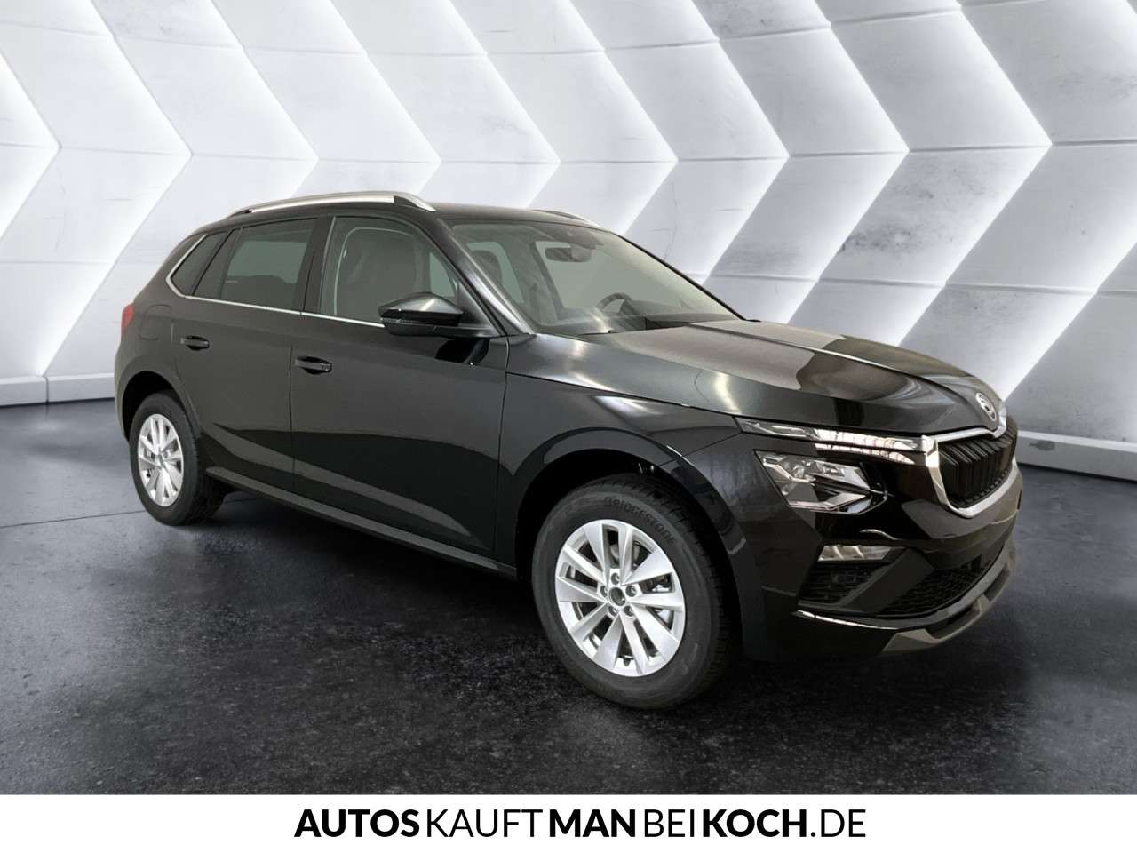 Fahrzeugbild eines Skoda Kamiq