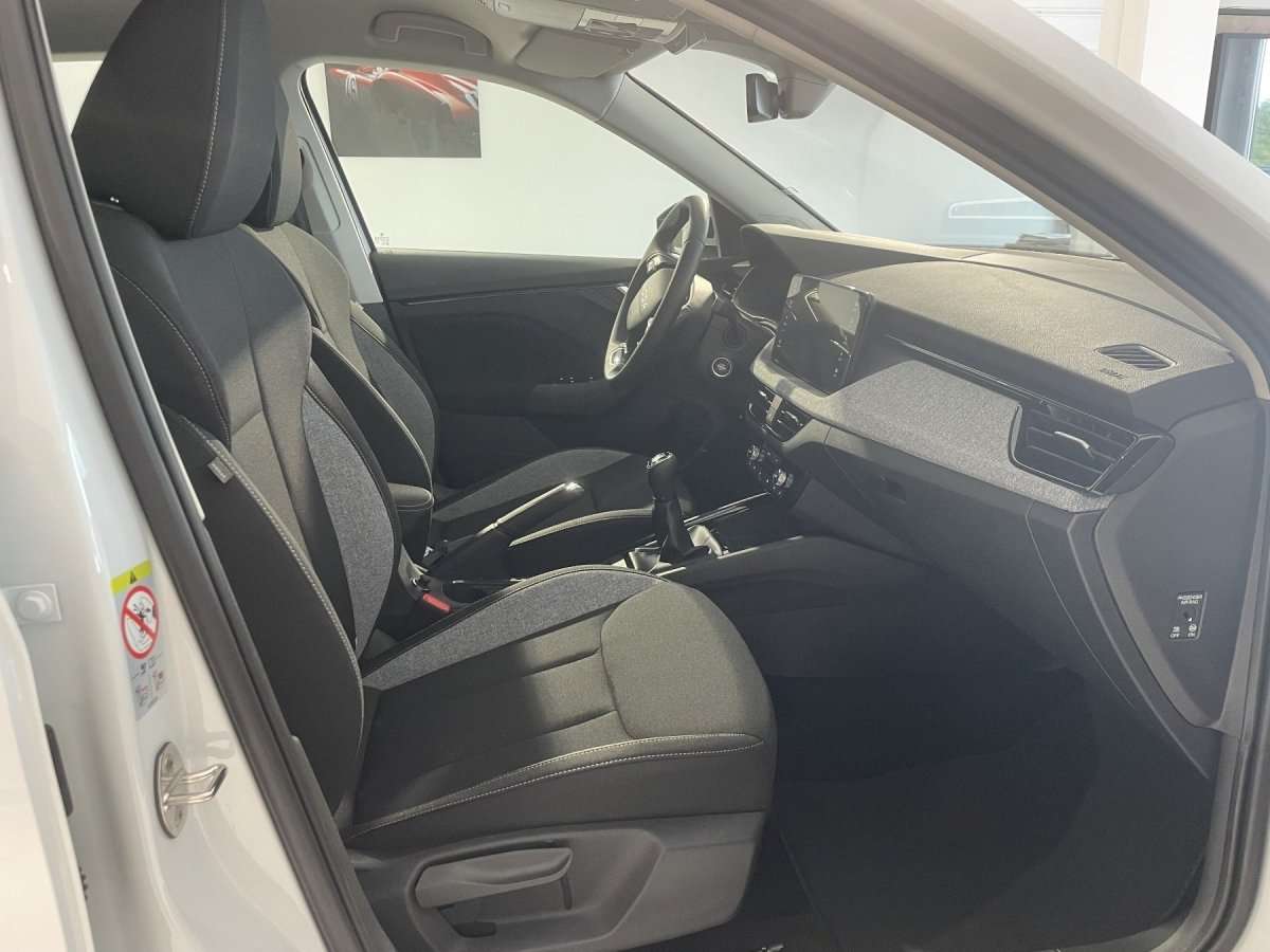 Fahrzeugbild eines Skoda Kamiq