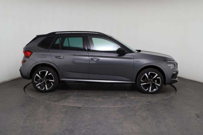 Fahrzeugbild eines Skoda Kamiq