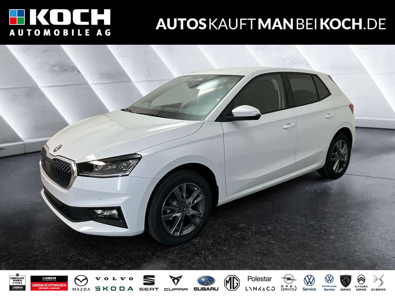 Fahrzeugbild eines Skoda Fabia