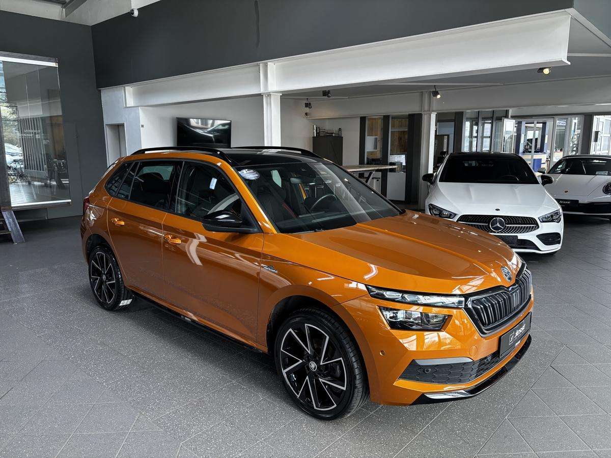 Fahrzeugbild eines Skoda Kamiq