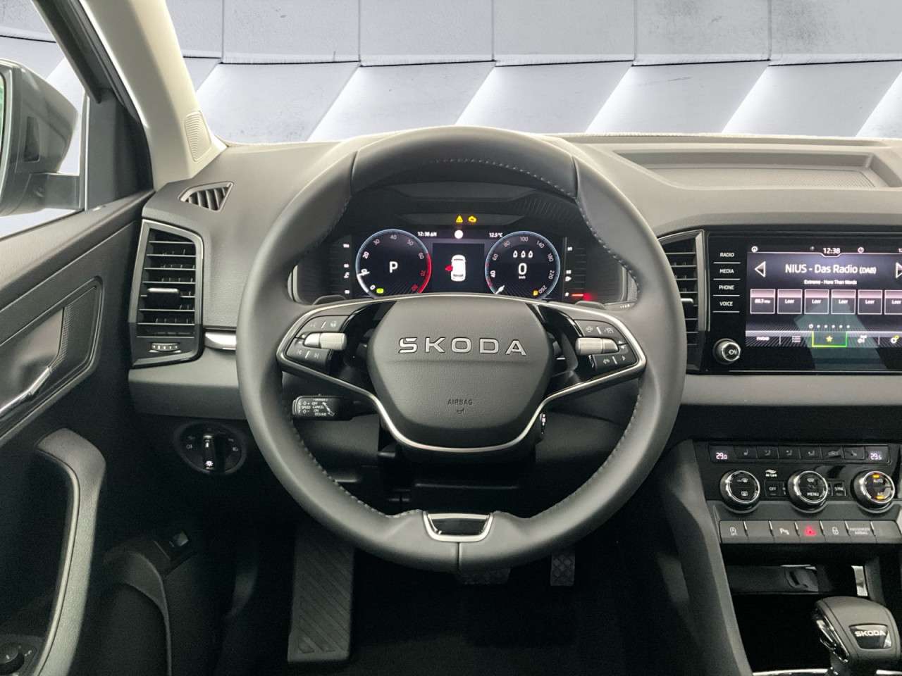 Fahrzeugbild eines Skoda Karoq