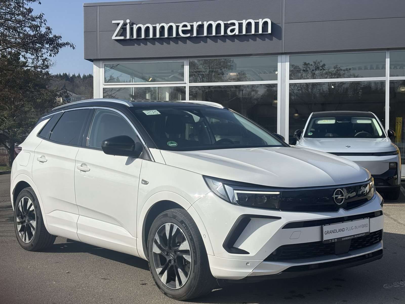 Fahrzeugbild eines Opel Grandland X