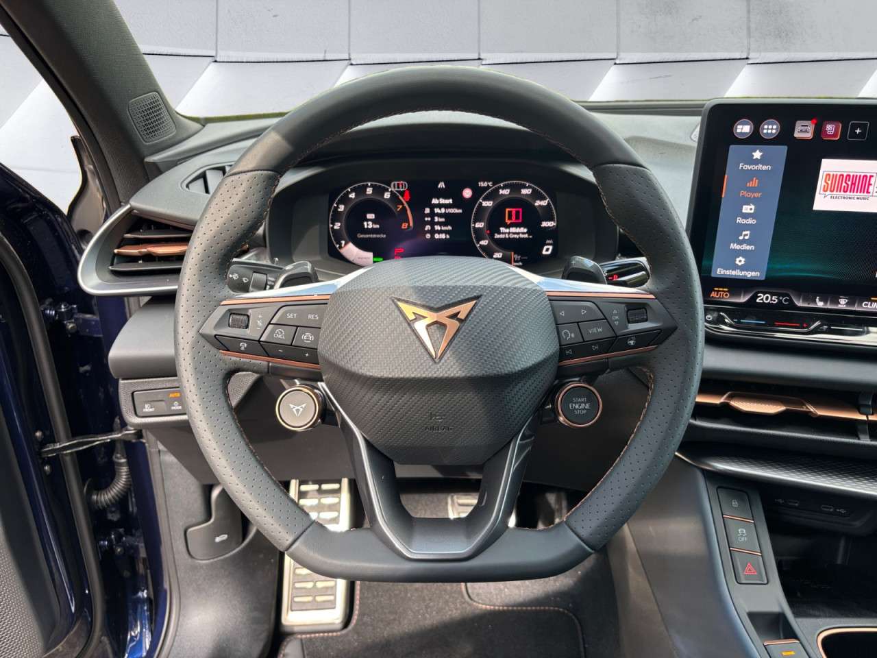 Fahrzeugbild eines CUPRA Terramar