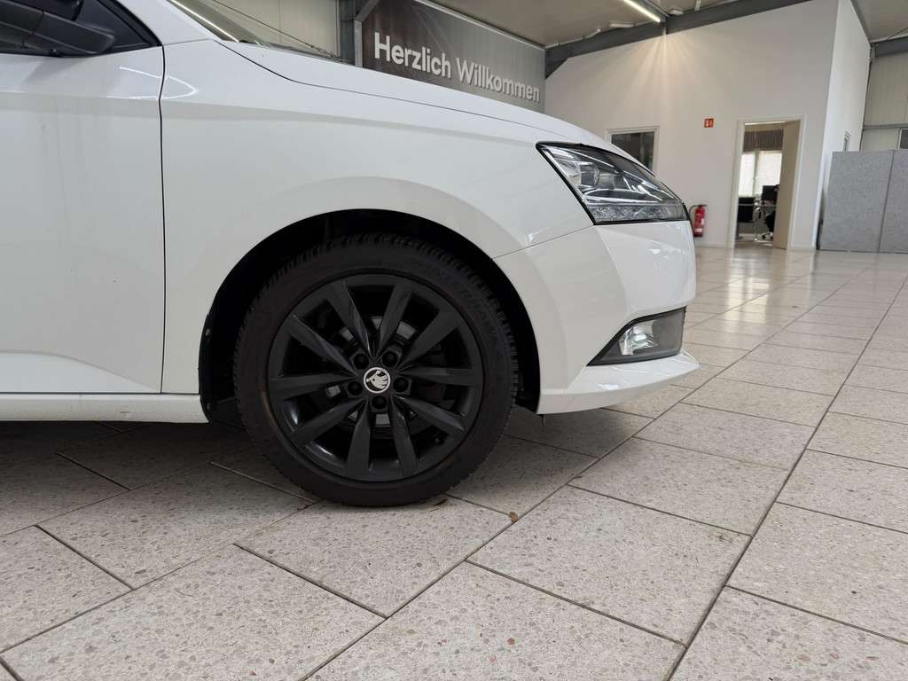 Fahrzeugbild eines Skoda Fabia