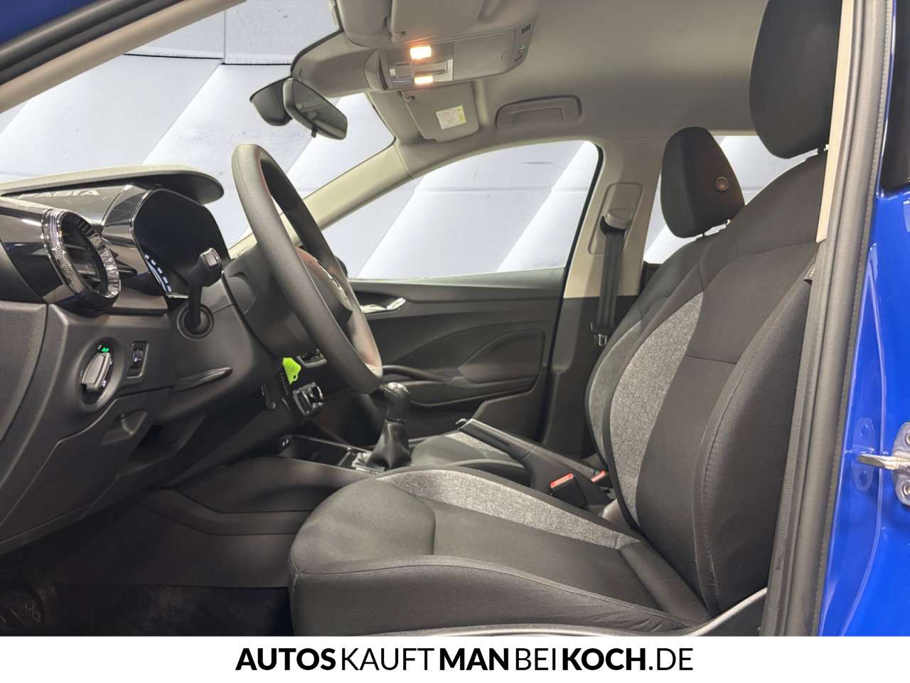Fahrzeugbild eines Skoda Fabia