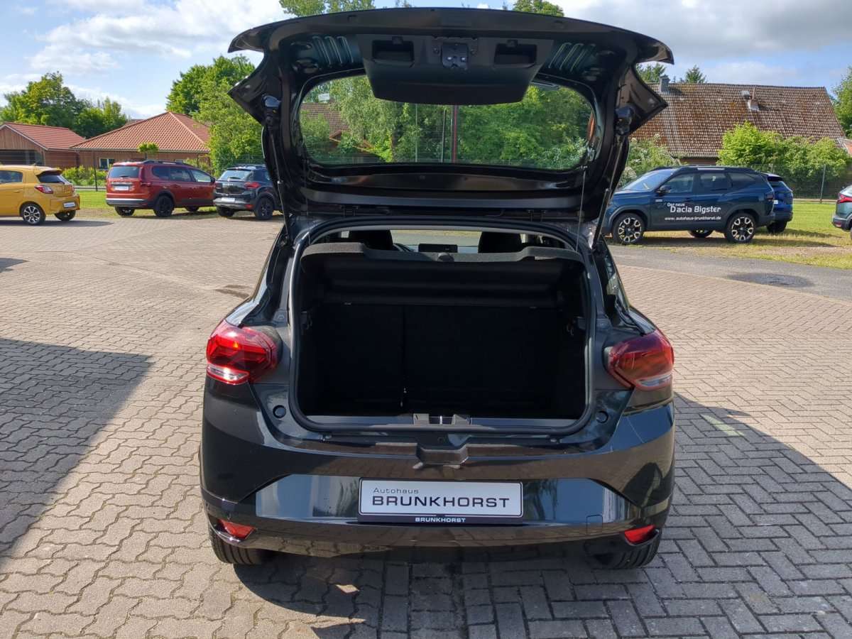 Fahrzeugbild eines Dacia Sandero
