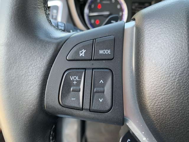 Fahrzeugbild eines Suzuki S-Cross