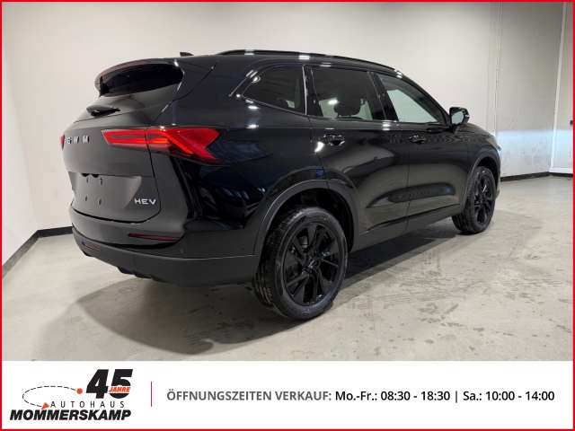 Fahrzeugbild eines GWM Haval H6