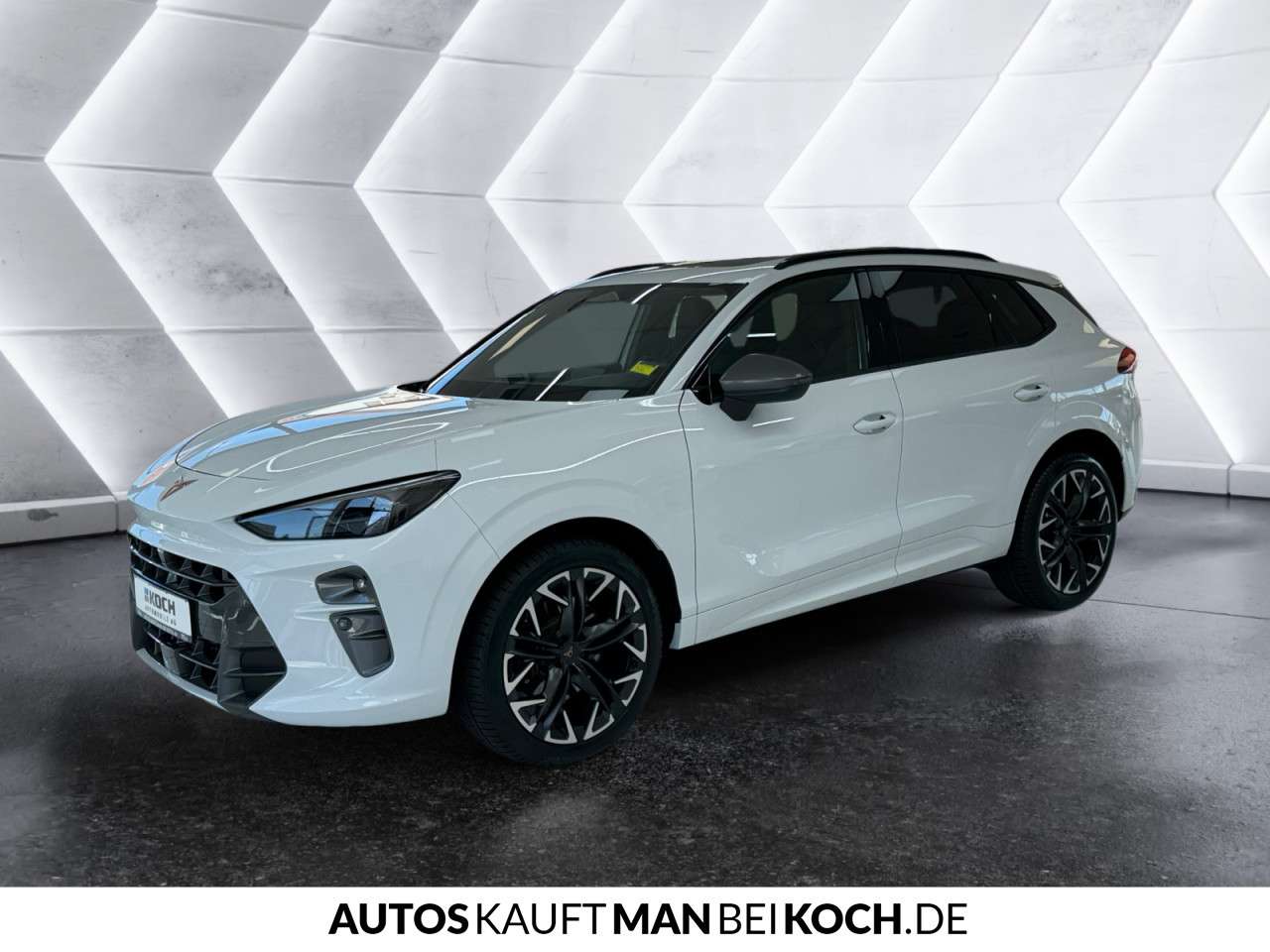 Fahrzeugbild eines CUPRA Terramar