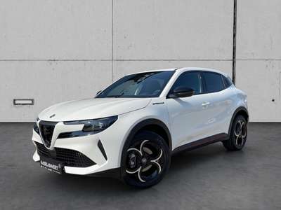 Bild Alfa Romeo Junior