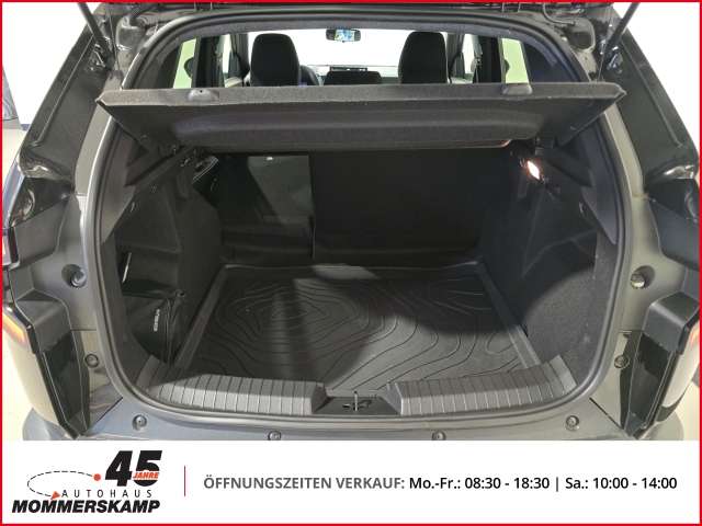 Fahrzeugbild eines Dacia Duster