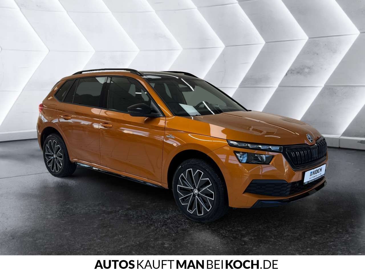 Fahrzeugbild eines Skoda Kamiq