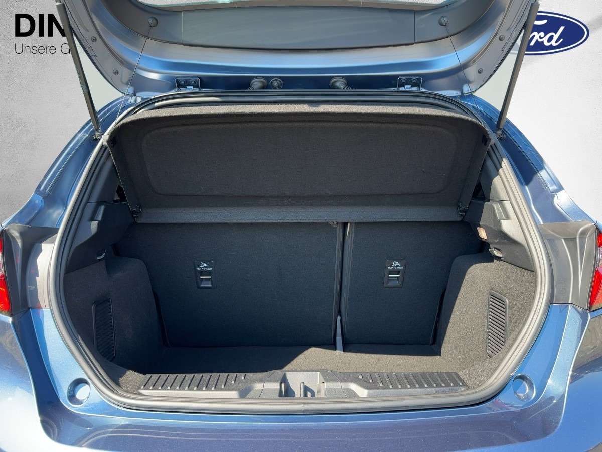 Fahrzeugbild eines Ford Fiesta