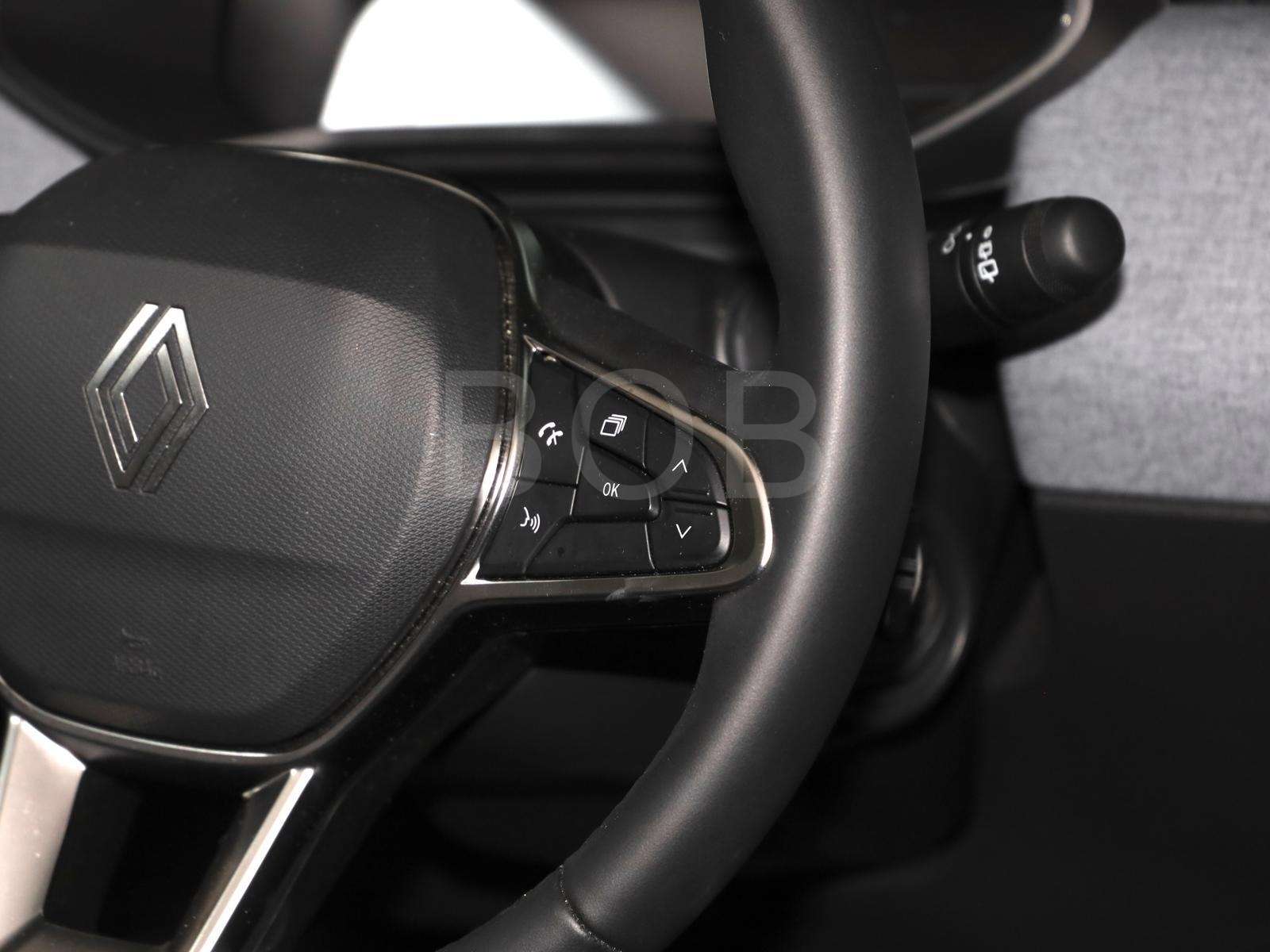 Fahrzeugbild eines Renault Clio