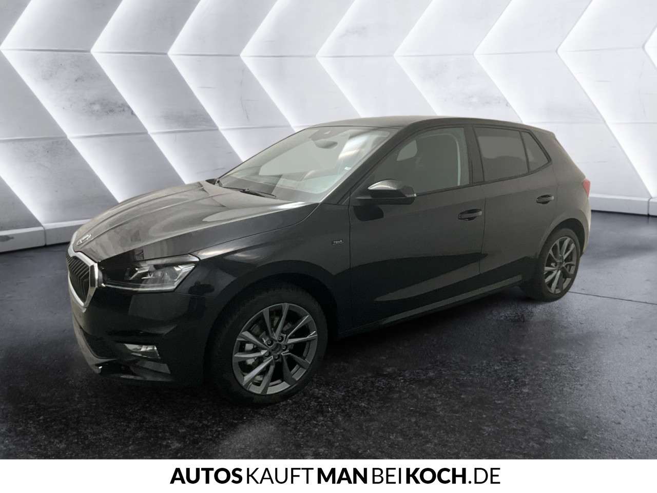 Fahrzeugbild eines Skoda Fabia