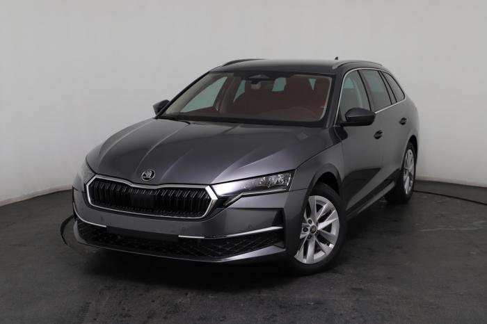 Fahrzeugbild eines Skoda Octavia