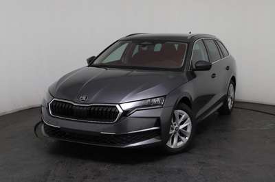 Bild Skoda Octavia