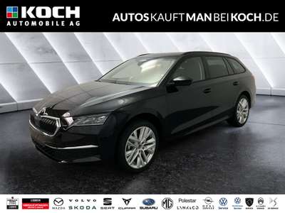 Bild Skoda Octavia