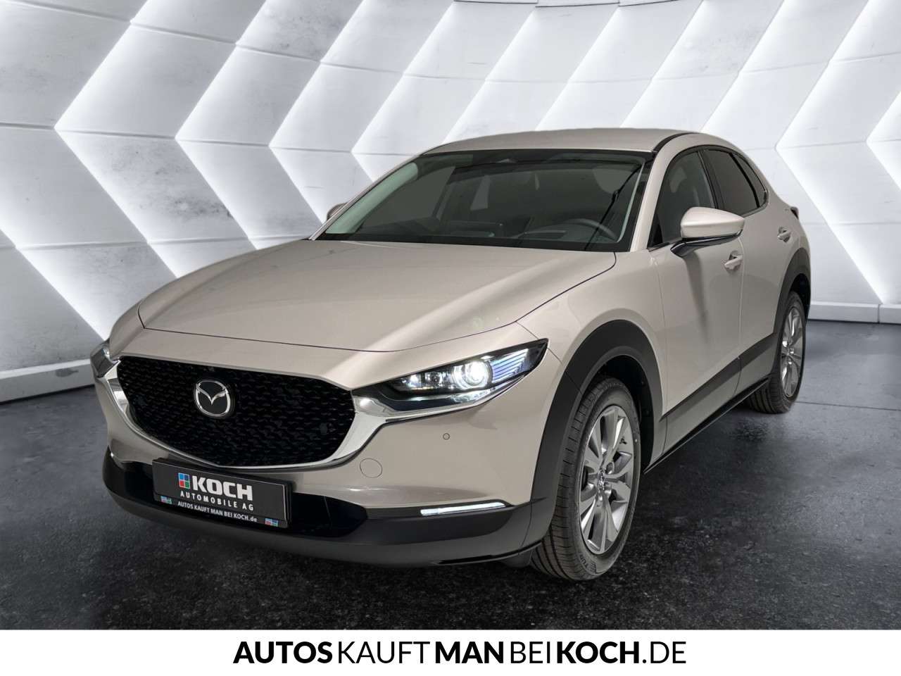 Fahrzeugbild eines Mazda CX-30