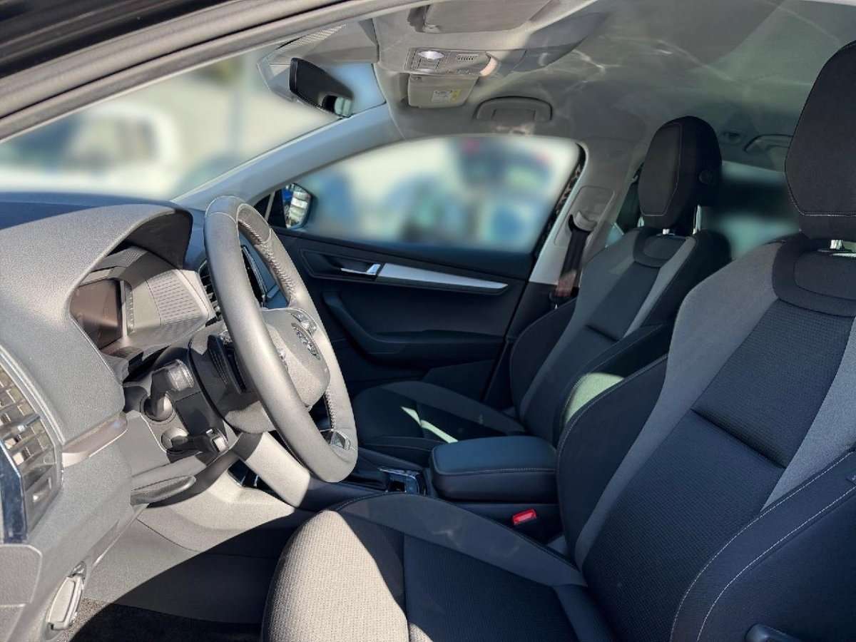 Fahrzeugbild eines Skoda Karoq