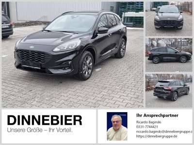 Bild Ford Kuga