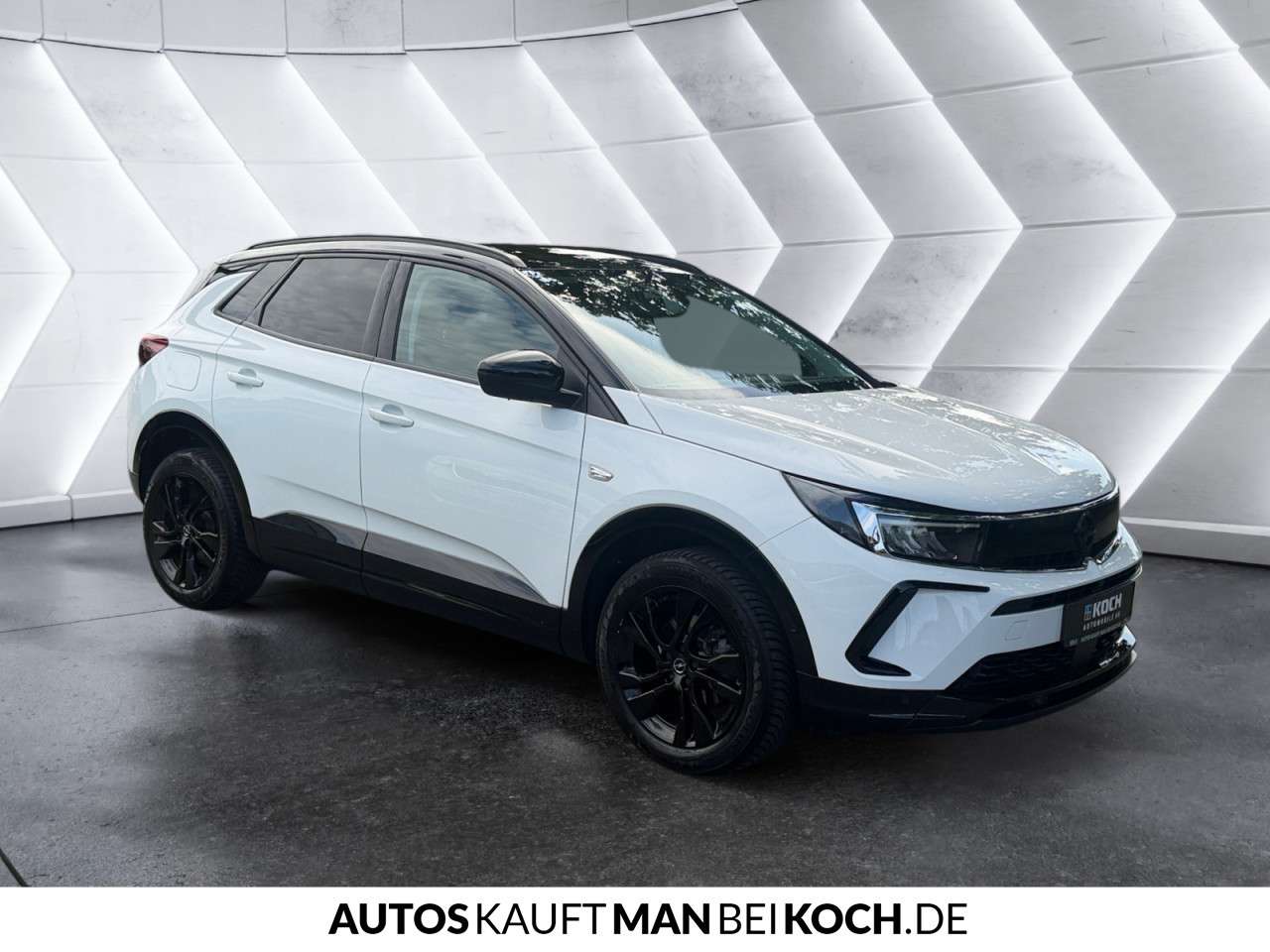 Fahrzeugbild eines Opel Grandland X
