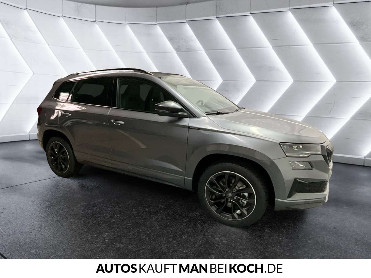 Fahrzeugbild eines Skoda Karoq