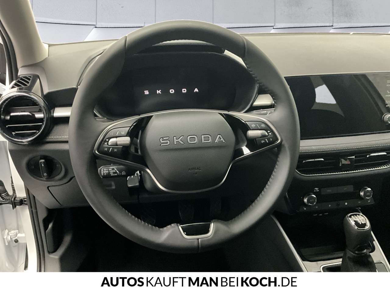 Fahrzeugbild eines Skoda Fabia