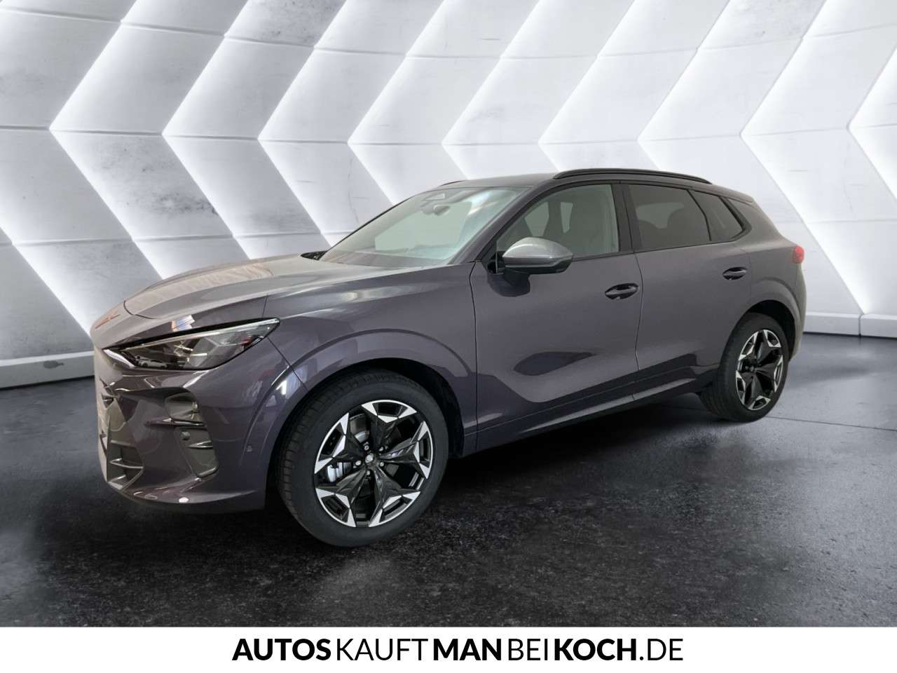 Fahrzeugbild eines CUPRA Terramar