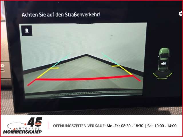 Fahrzeugbild eines Dacia Sandero